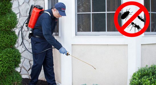 Uzundere Karınca İlaçlama böcek ilaçlama ve haşere kontrolü — ilaclama-tr.com